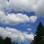 Download thatchubbyguy1 OnlyFans content for free 

 profile picture