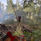 Onlyfans leaked thatgreenxj 

 profile picture