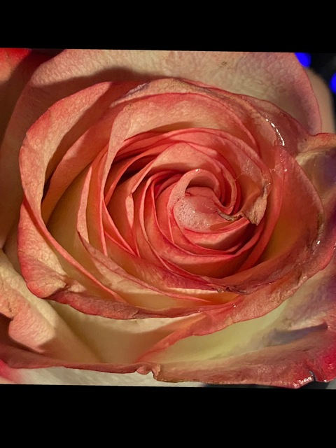 Header of thatkybxtch