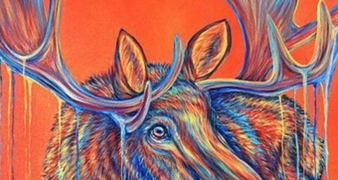 Header of thatmooseboy