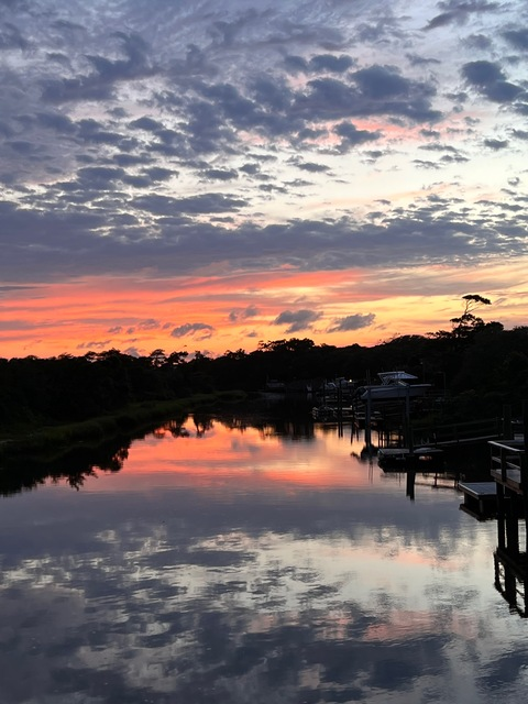 Header of the_haileybaby