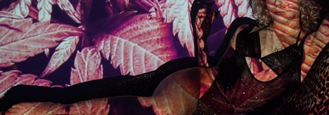 Header of thelilrose