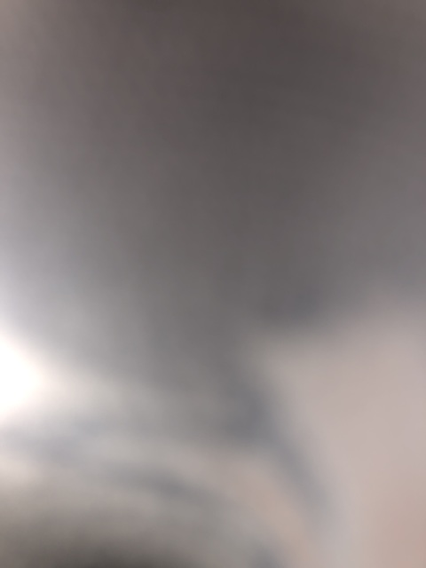 Header of theotter0ne