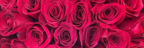 Header of therealprincessx