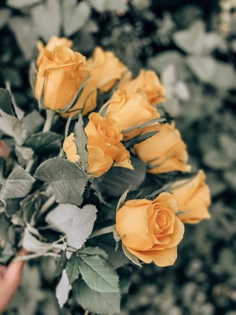 Header of therealtori