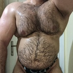 therealturkishbear (TheRealTurkishBear) free OnlyFans Leaked Content 

 profile picture