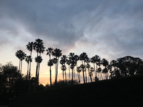 Header of therobotunicorn