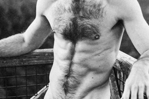 Header of thetystories