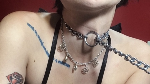 Header of thickoletta