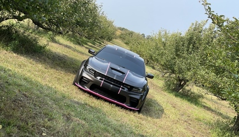 Header of trailrider95vip