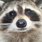 trash (trash) OnlyFans content 

 profile picture