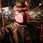 Onlyfans leak travelingbarguy 

 profile picture