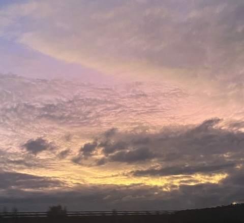 Header of trinity_bubs