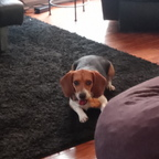 Download trusty_rusty OnlyFans content for free 

 profile picture