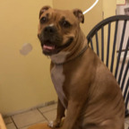 twinklewinkle (Treykume) OnlyFans Leaked Videos and Pictures 

 profile picture