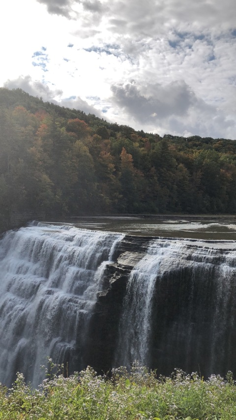 Header of typenullvoid