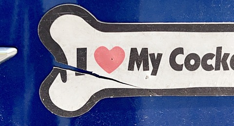 Header of u129659772