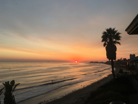 Header of u131443848