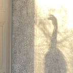 u138496975 (KiraKnowles_) OnlyFans Leaked Pictures & Videos 

 profile picture