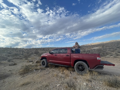 Header of u157712401