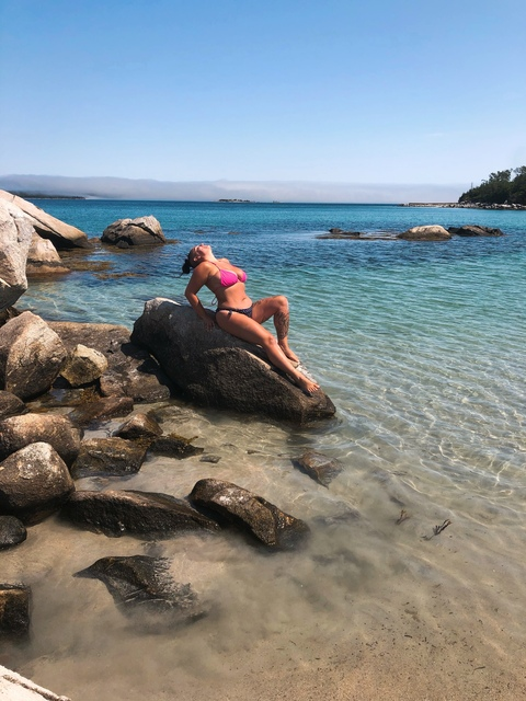 Header of u165529523