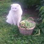 Download u17049518 OnlyFans content for free 

 profile picture