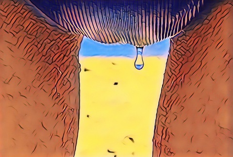 Header of u185715391