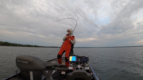 Header of u194613261