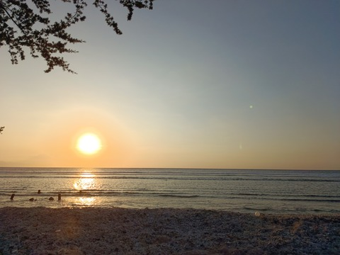 Header of u217235446