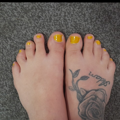 Header of u233944729