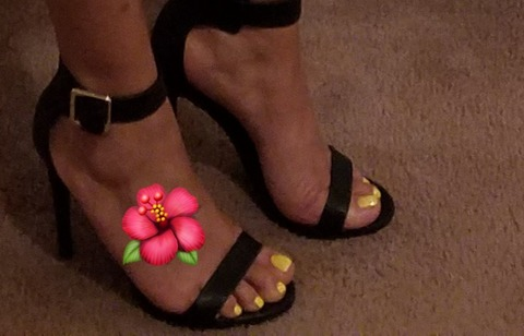 Header of u236653979