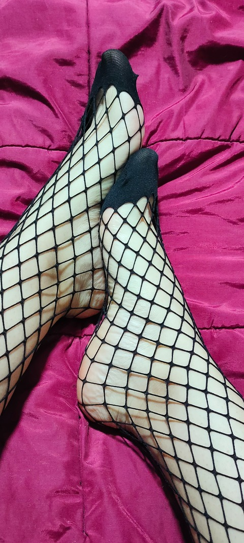 Header of u274712658