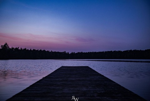 Header of u277443934