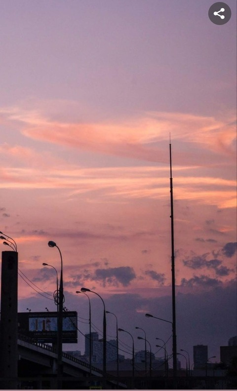 Header of u286315745