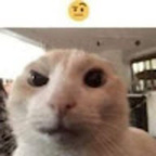 u288019441 (JOEL L. YUJRA) free OnlyFans Leaked Videos and Pictures 

 profile picture