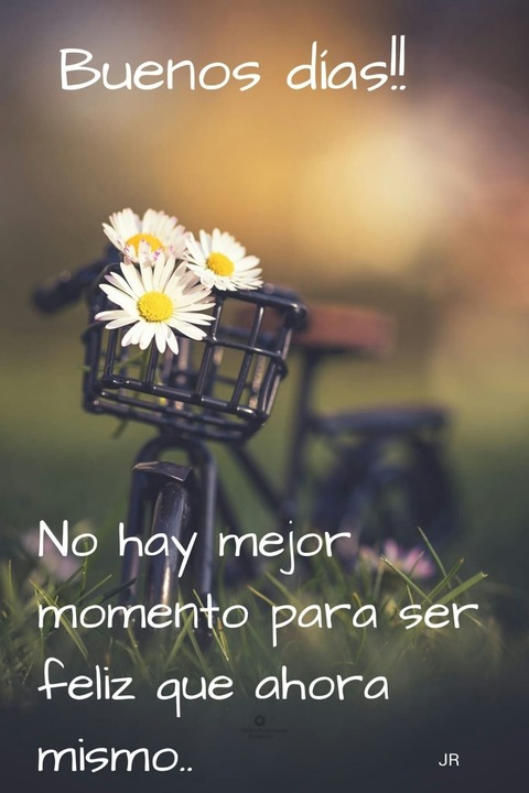 Header of u288565617