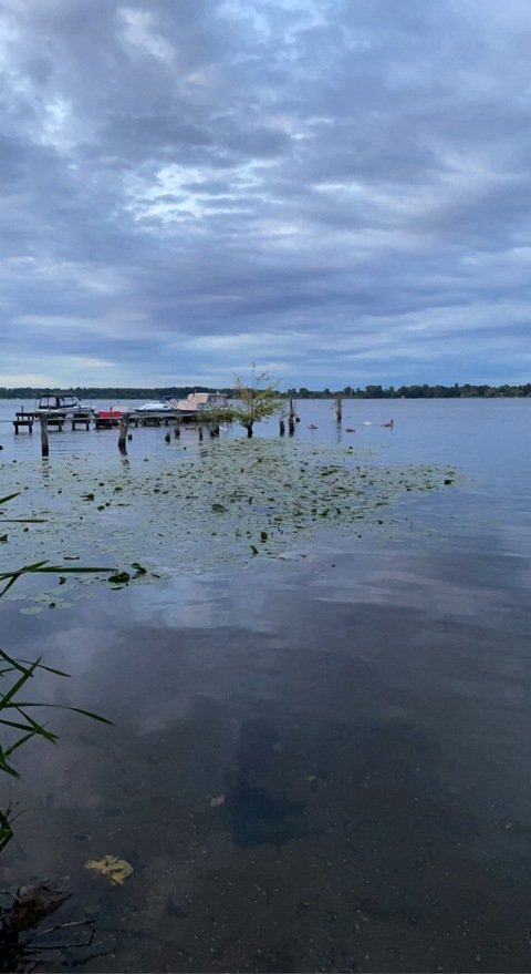 Header of u292038387