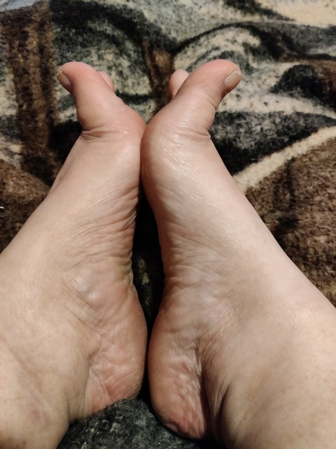 Header of u295157595