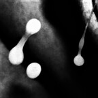 Onlyfans leaked u29641403 

 profile picture