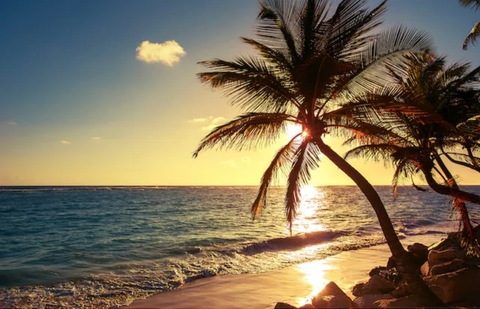 Header of u297211142