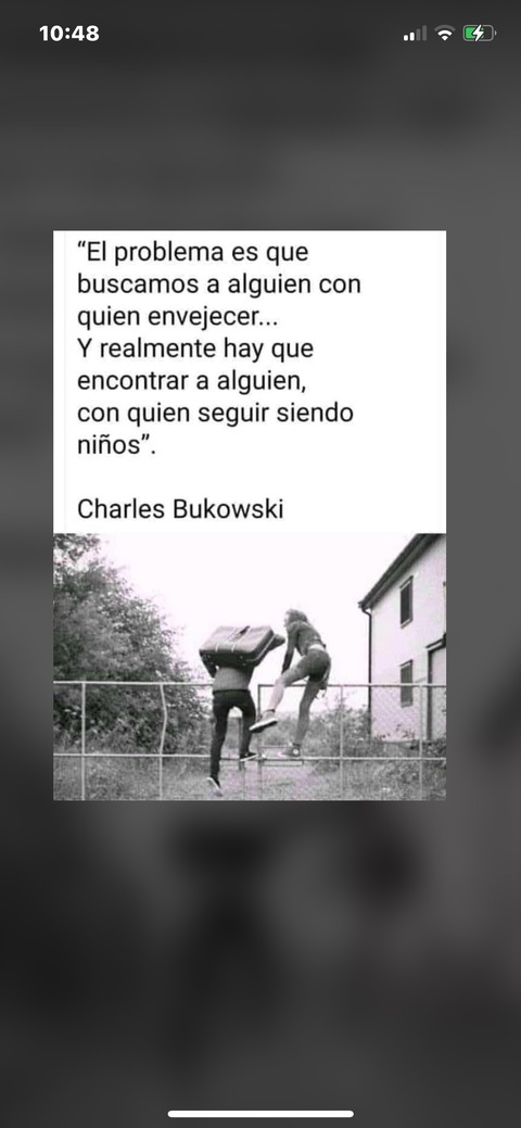 Header of u299747196