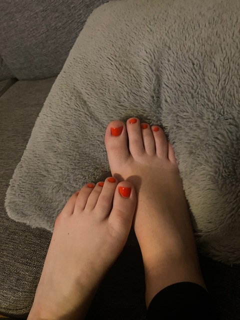 Header of u301529135