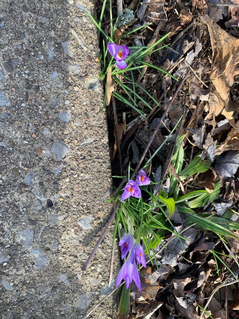 Header of u309491273