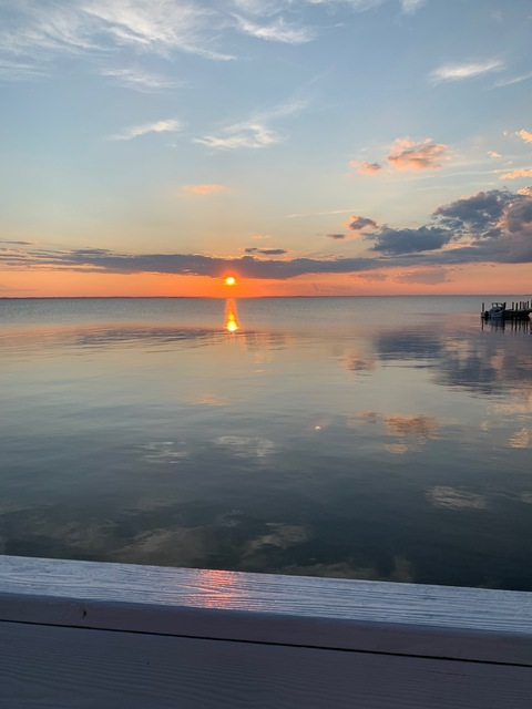 Header of u310393611