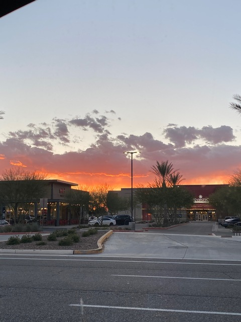 Header of u310694687