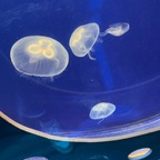 u310724417 OnlyFans Leak 

 profile picture