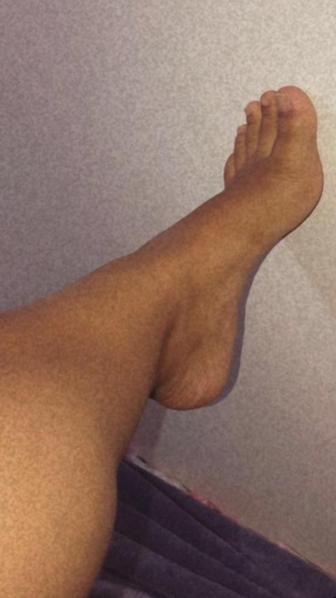 Header of u311895354