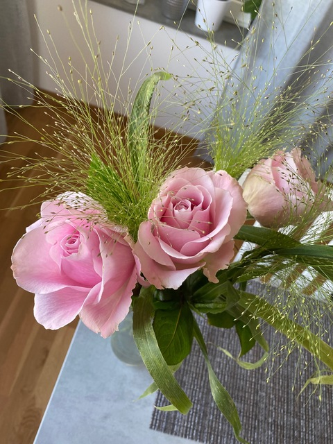 Header of u313892034