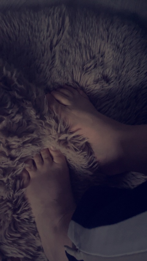 Header of u315705039