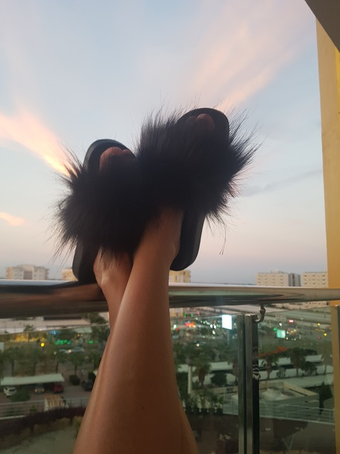 Header of u316463794